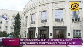 Филиал Академии наук Беларуси откроют в Каире