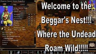 Neverwinter Nights Enhanced Edition Chapter 1 Beggar's Nest