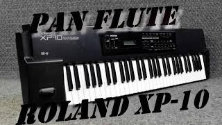 Pan flute "Roland Xp-10"