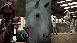 The BEST HORSE TikTok Compilation #16