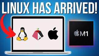 Native Linux on M1 Mac is AMAZING! Asahi ARM Alpha install tutorial - is Proton gaming possible?
