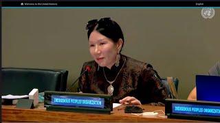 Maria Khankhalaeva's speech at the United Nations Permanent Forum of Indigenous People's Issues