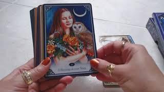 Traceyhd's Review Of The Blessed Be Cards Oracle Deck