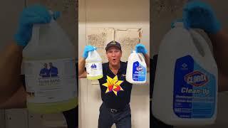 TWINS vs CLOROX mold removal solution