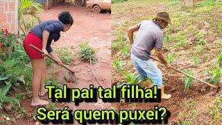 QUEM PLANTA COLHE/  VISITANDO O MILHARAL DO MEU PAI /MAIS DE 70 ANOS OLHA O QUE FAZ!?