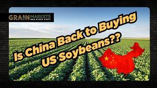 Was Yesterday's LARGE Flash Sale of Soybeans Made By China??