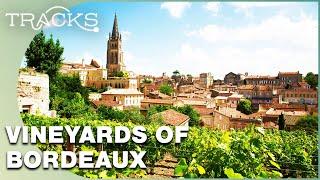 France's Bordeaux & Dordogne: Vineyards, Castles And Rivers  | TRACKS