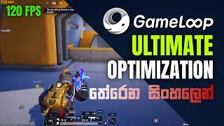 Gameloop Pubg Mobile Lag fix & Full Optimization 2024 