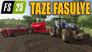 Son Sebze İşimiz Taze Fasulye #8 !! İlginç Tarla Ekimi | Farming Simulator 25 !!