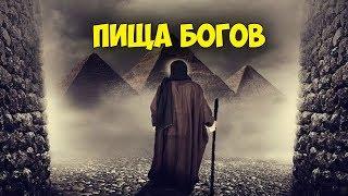 ПИЩА БОГОВ. СТАРИННЫЕ РЕЦЕПТЫ ЗДОРОВЬЯ И ДОЛГОЛЕТИЯ