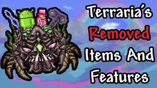 Terraria's Removed items and Features