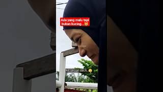 LAGI SEMAI SAWI MALAH DIGODAIN TETANGGA