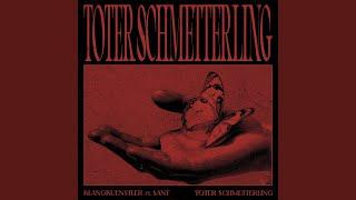 Toter Schmetterling