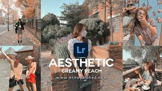 How to make your photos look Aesthetic in Lightroom Mobile - Free Preset Dng Xmp