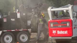 Tree removal crew removing large dead tree for city park dog area in Angier, NC