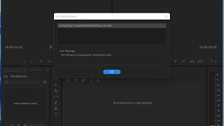 The file has an unsupported compression type in Premiere Pro (FIX)