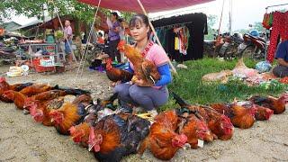 120 Day Harvesting Chicken (Rooster) Goes to market sell - Harvest Fruit Garden [FULL VIDEO]
