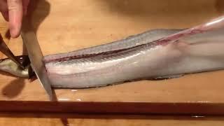 Japanese cuisine and chef's technique:eel1(Clean a eel)