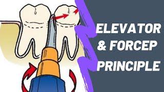 Principles of Elevator, Forcep in Uncomplicated Exodontia- Lever, Wedge, Wheel & Axle- Apexo, Cryer