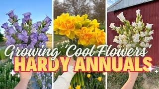 Grow "Cool Flowers" This Spring | Plant Hardy Annuals For An Early Garden