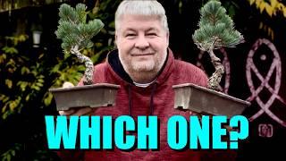 Ground vs Pot: Which Bonsai Method Really Works Best?