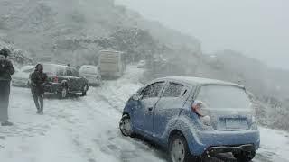 Nevada en León cierra de lobos