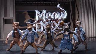 *NSYNC x Meow Mix Remix