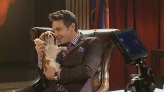 EXCLUSIVE: Behind the Scenes With the Adorable Puppy of 'The Interview'