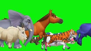 Animal Stampede green screen | Funny Animals  green Screen |All cartoon animal running green screen