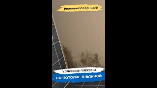 Удаление плесени на потолке в ванной