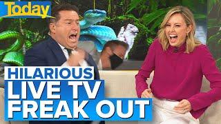 Aussie host storms off after cruel snake #prank on live TV | Today Show Australia