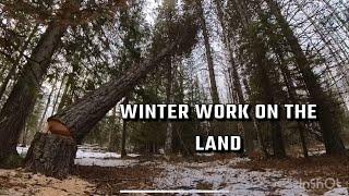 Our homestead FLOODED! And felling a  huge tree by our build site