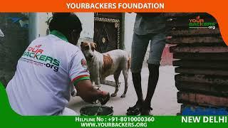 6th Sep 2022 Feed the Stray Animals – An initiative by the Yourbackers New Delhi