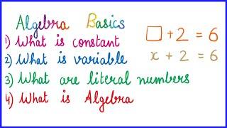 Algebra | What is Variable | Variable | Constant | Why we use Variables | Literal Numbers | Literals