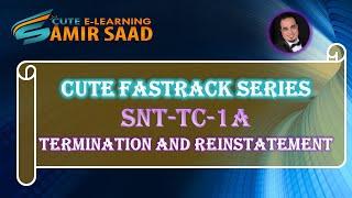 ASNT Level III  Basic- SNT-TC-1A-Termination and Reinstatement