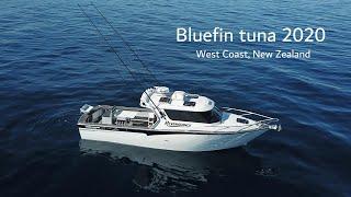 Bluefin tuna mission, New Zealand 2020