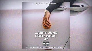 [FREE] Larry June Loop Pack #7 | 12 Loops Inspired by Larry June & CardoGotWings + 8 Drum Loops