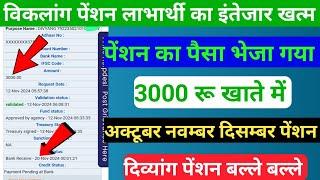 विकलांग पेंशन लाभार्थी की बल्ले बल्ले | Divyang Pension October November December Ka Aana Shuru |