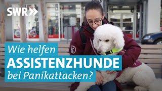 Angst im Alltag: Assistenzhund Bailey hilft