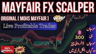 Mayfair fx scalper indicator | The most accurate buy-sell signal indicator | Tradingview indicator |