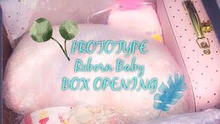 Magnificent PROTOTYPE REBORN BOX OPENING - TWYLA by Laura Lee Eagles Prototype by Veronica Lale