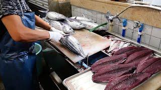 Japanese Food - The BEST BONITO SASHIMI in Kochi! Tanaka Fish Store Tosa Kure seafood Japan