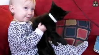 Cats vs Kids! (A Compilation)