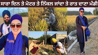 ਮੀਂਹ ਕਰਕੇ ਕੋਈ ਵੀ ਸਬਜ਼ੀ ਨਹੀਂ ਹੋਈ | Iss kaam Ko Kya Naam De