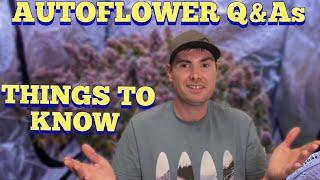 Things To Know About Autoflowers - Grow Q&As