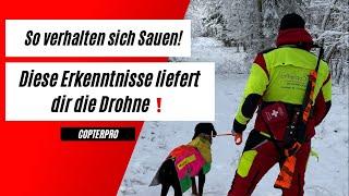 Drückjagd von oben| SO verhalten sich die Hunde an den Sauen| DJI Drohne bei der Jagd| Copterpro