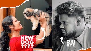 New DOG വാങ്ങിച്ചാലൊ ?  Dani Chettan തിരിച്ചു പോയി 