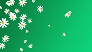 flower falling green screen effects | green screen flowers falling | flower green screen video