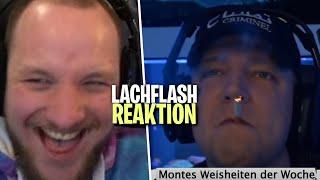 REAKTION auf "NICHT SÜCHTIG" - Hungriger Hugo - LACHFLASH | ELoTRiX Livestream Highlights