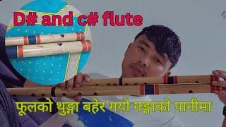 phoolko thunga bahera gayo gangako panima taradevi song cover flute kismat roka magar flute 2024